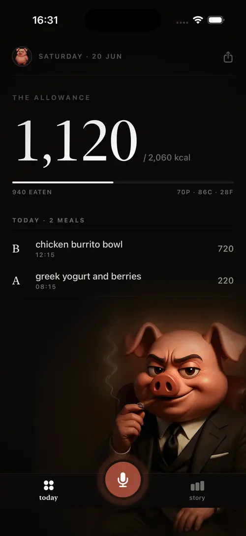 Chonk app - your day at a glance